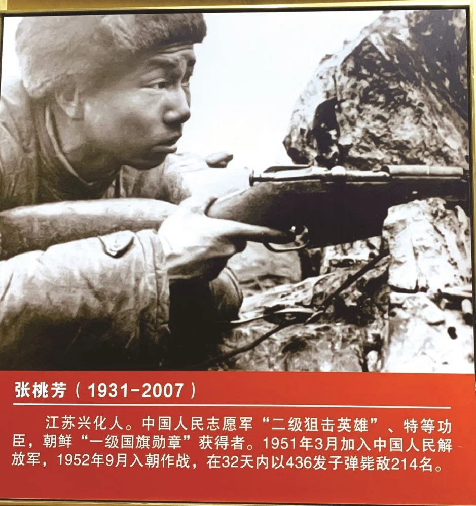 丰富鱼种 - ppg电子游戏捕鱼鱼种图鉴